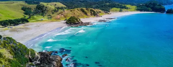 New Zealand landscape