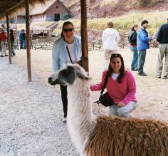 Exploring the area with an alpaca