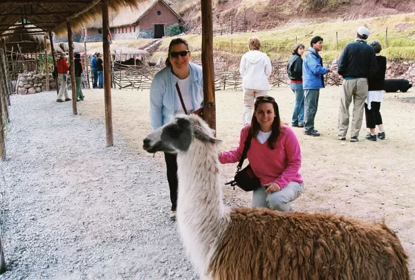 Exploring the area with an alpaca