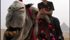 Camel gives his best smiles for the camera