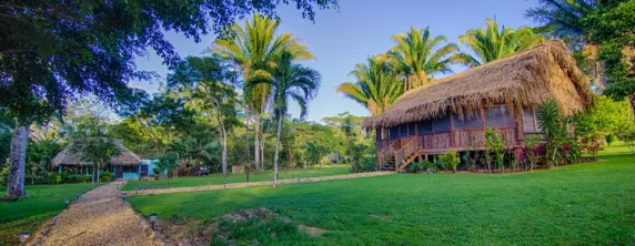 Bocawina Rainforest Lodge
