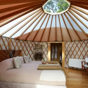 Deluxe Yurt