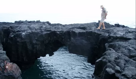 Exploring the Galapagos