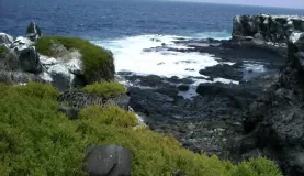 Galapagos lanscape