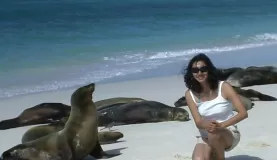 Wildlife of the Galapagos islands