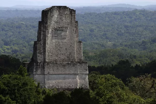 A Tikal Tower appearing above the jungle canopy