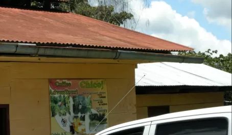 Chicoj Coffee Cooperative near Coban