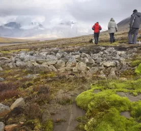 Walking through vast arctic landscapes. 
