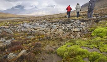 Walking through vast arctic landscapes.