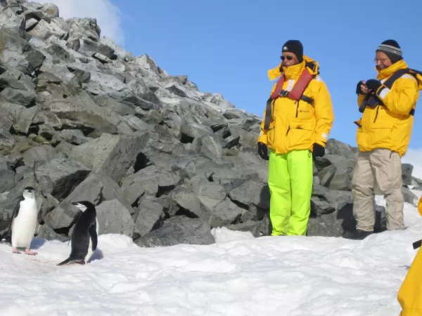 Curious penguins and travelers on an Antarctic tour