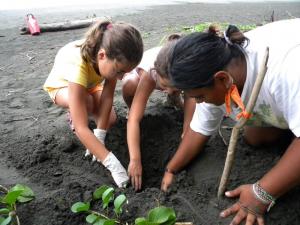 Leatherback nest found! The Lovato family assists scientists on their turtle patrols at the Pacurare Reserve