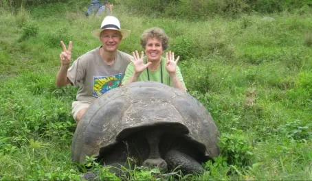 Celebrating our 29th anniversary with a tortoise