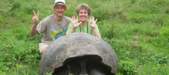 Celebrating our 29th anniversary with a tortoise