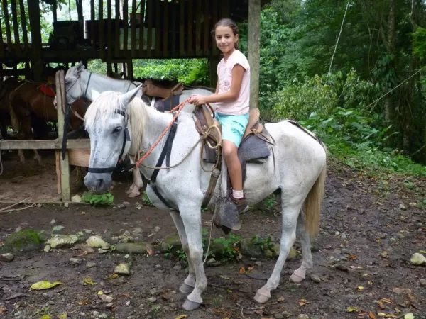 Horseback riding (at the stables)
