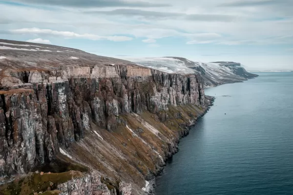 Birds cliffs in Svalbard
