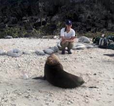 Sea lion taking a look in the rearview mirror on Genovesa Island