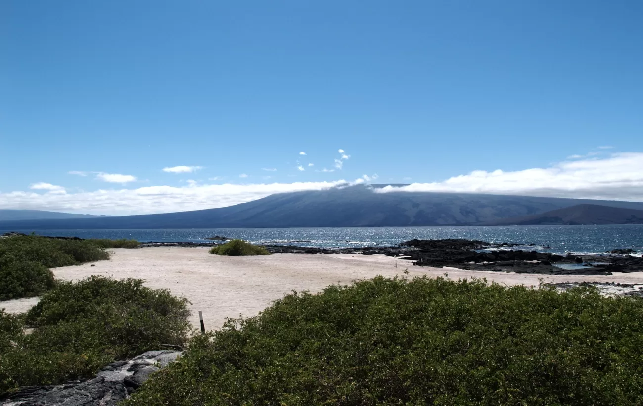 View of Isabela From Fernandina