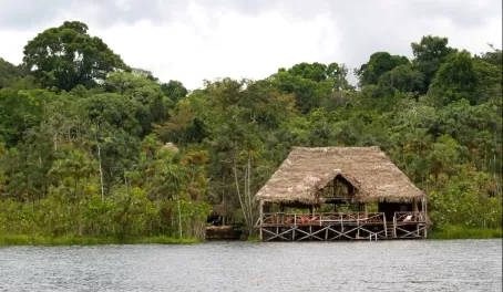 Sacha Lodge, Amazon