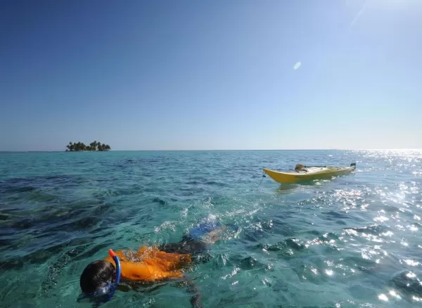Snorkeling at Carrie Bow Caye Barrier Reef