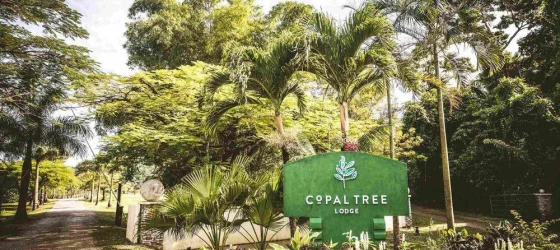 Copal Tree Lodge's Entrance