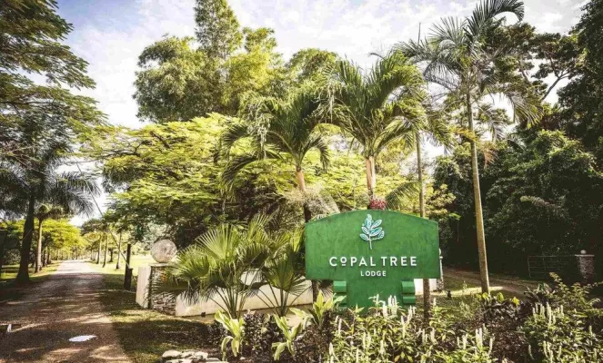 Copal Tree Lodge's Entrance