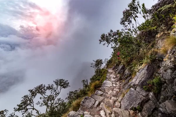 Stone steps on the steep slope of Machu Picchu Mountain