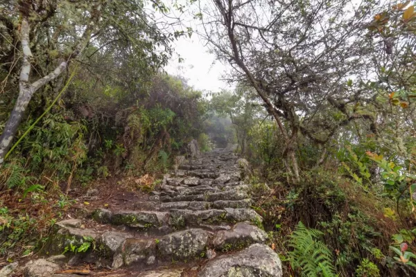 Hiking trail to the top of Machu Picchu mountain, 3,082 masl, 1600 steps and stone trails. At the top you can glimpse entire landscape of the place.