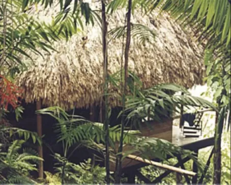 View the lush jungle from the porch of your bungalow