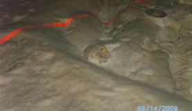 Skull in Belize\'s ATM cave