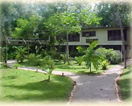 The Jungle Lodge