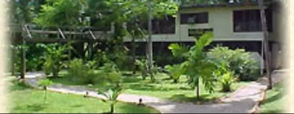 The Jungle Lodge