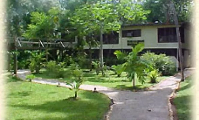 The Jungle Lodge