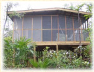 Belize Zoo And The Tropical Education Center Stay In Belize City Belize Belize Zoo And The Tropical Education Center Stay In Belize City Belize