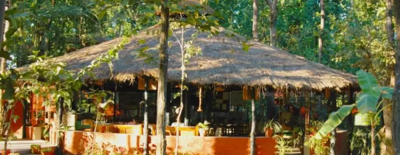 Kanha Jungle Lodge
