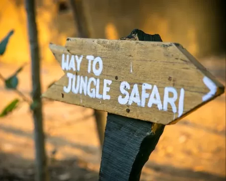 Bandhavgarh Jungle Lodge
