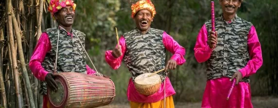 Bandhavgarh Jungle Lodge