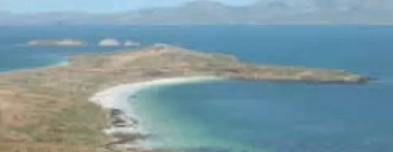 On the small island of Carcass Island