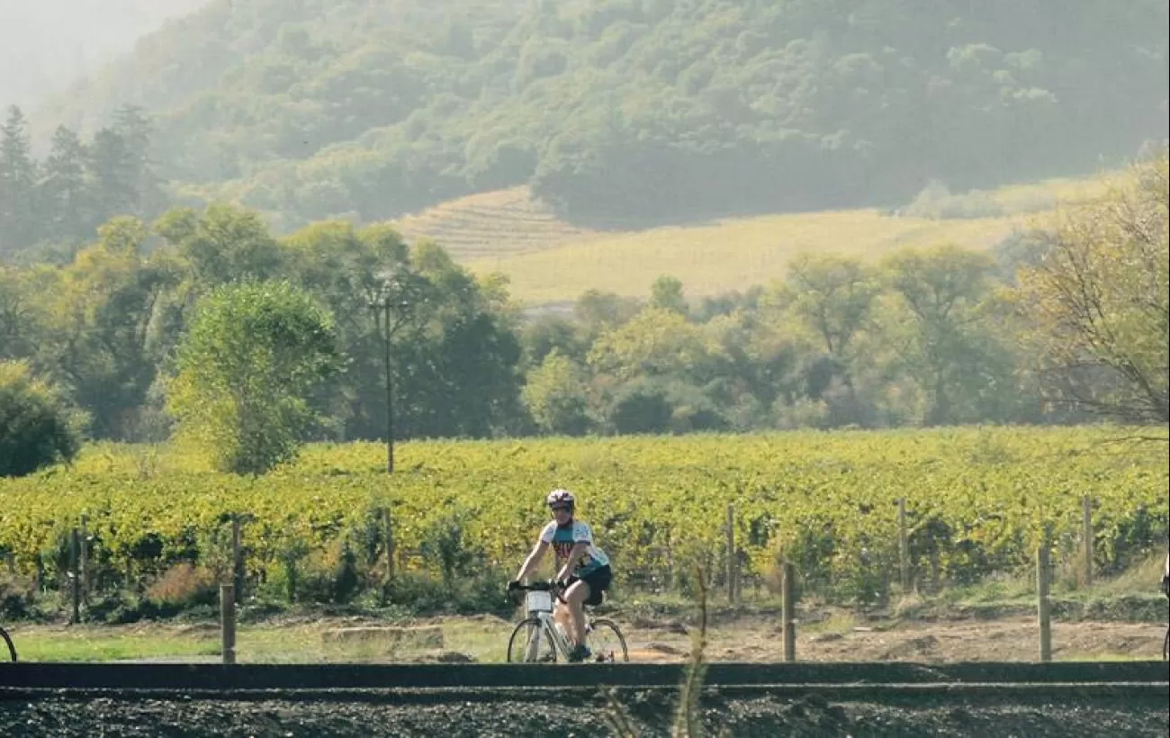Napa Valley