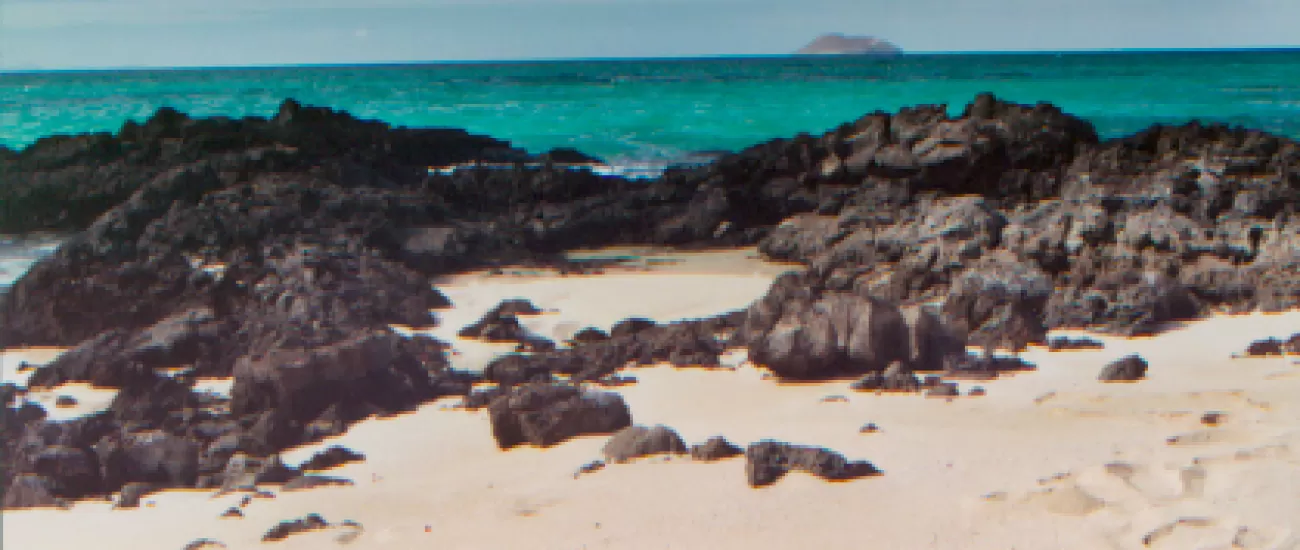 Bachas Beach tour in the Galapagos Island