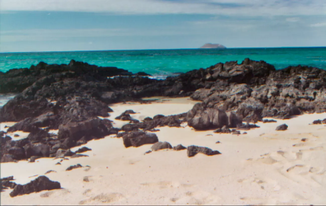 Bachas Beach tour in the Galapagos Island