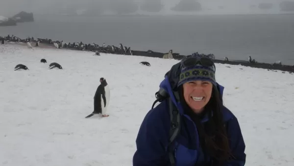 Renee and Gentoo penguins