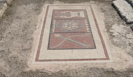Mosaic in Temple of Apollo