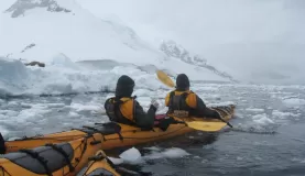 Kayakers -- see the Weddell seal to the left?