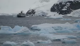 The Orlova