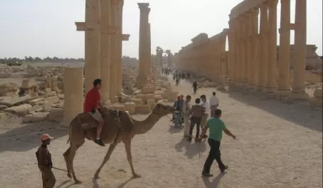 Riding a camel 