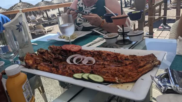 Mahi Mahi on the beach