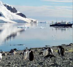 Akademik Shokalsky, Danco Island