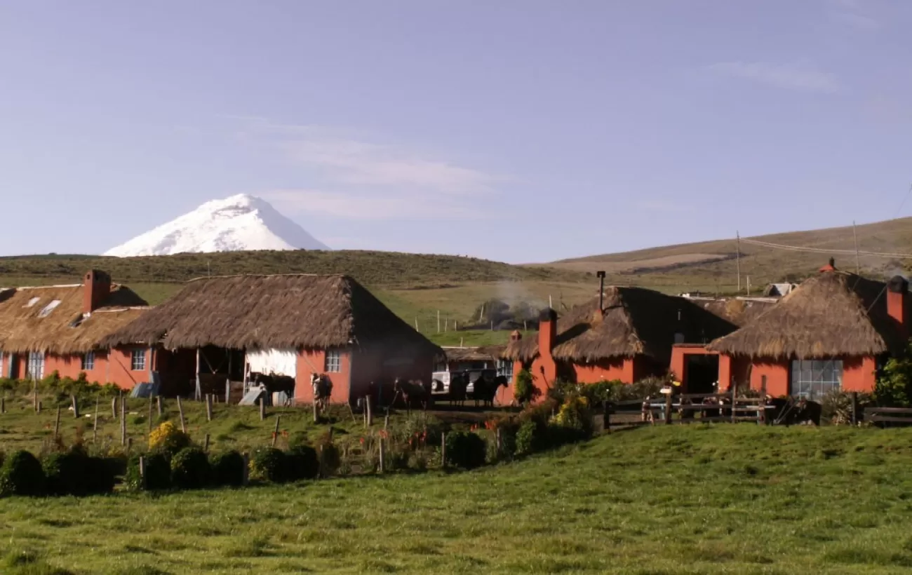 Enjoy your stay on a working farm