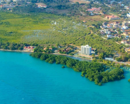 Aerial view of tropical island Zanzibar in the Indian ocean in Tanzania, East Africa