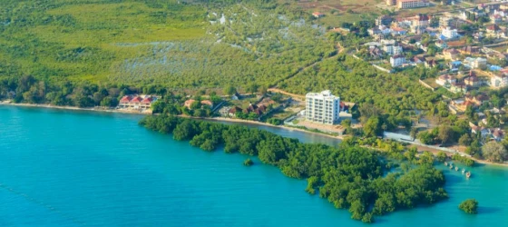 Aerial view of tropical island Zanzibar in the Indian ocean in Tanzania, East Africa